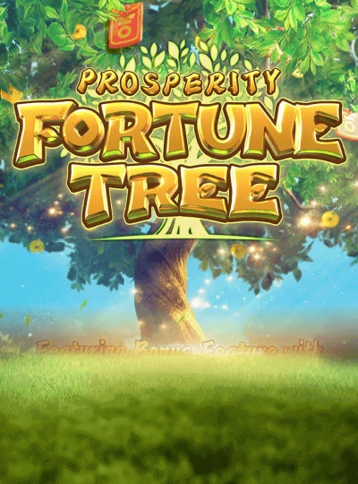 BPL cricket betting game cover